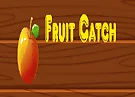 Fruit catch