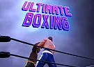 Ultimate Boxing Game