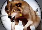 Fox Hunting Sniper Shooting