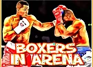 Boxers in Arena
