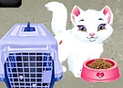 Baby Taylor Pet Care - Save Cute Animals