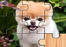 Cute Dogs Jigsaw Puzlle
