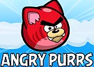 Angry Purrs