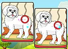 Dogs Spot The Differences 2
