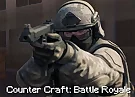 Counter Craft: Battle Royale