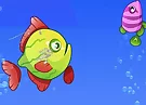 Fish Grow Eating Fish