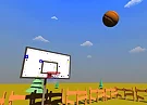 Basketball School