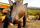 Stegosaurus Dinosaur Jigsaw