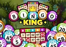 Bingo King