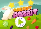 Greedy Rabbit Platformer