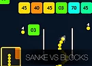 Snake VS Blocks